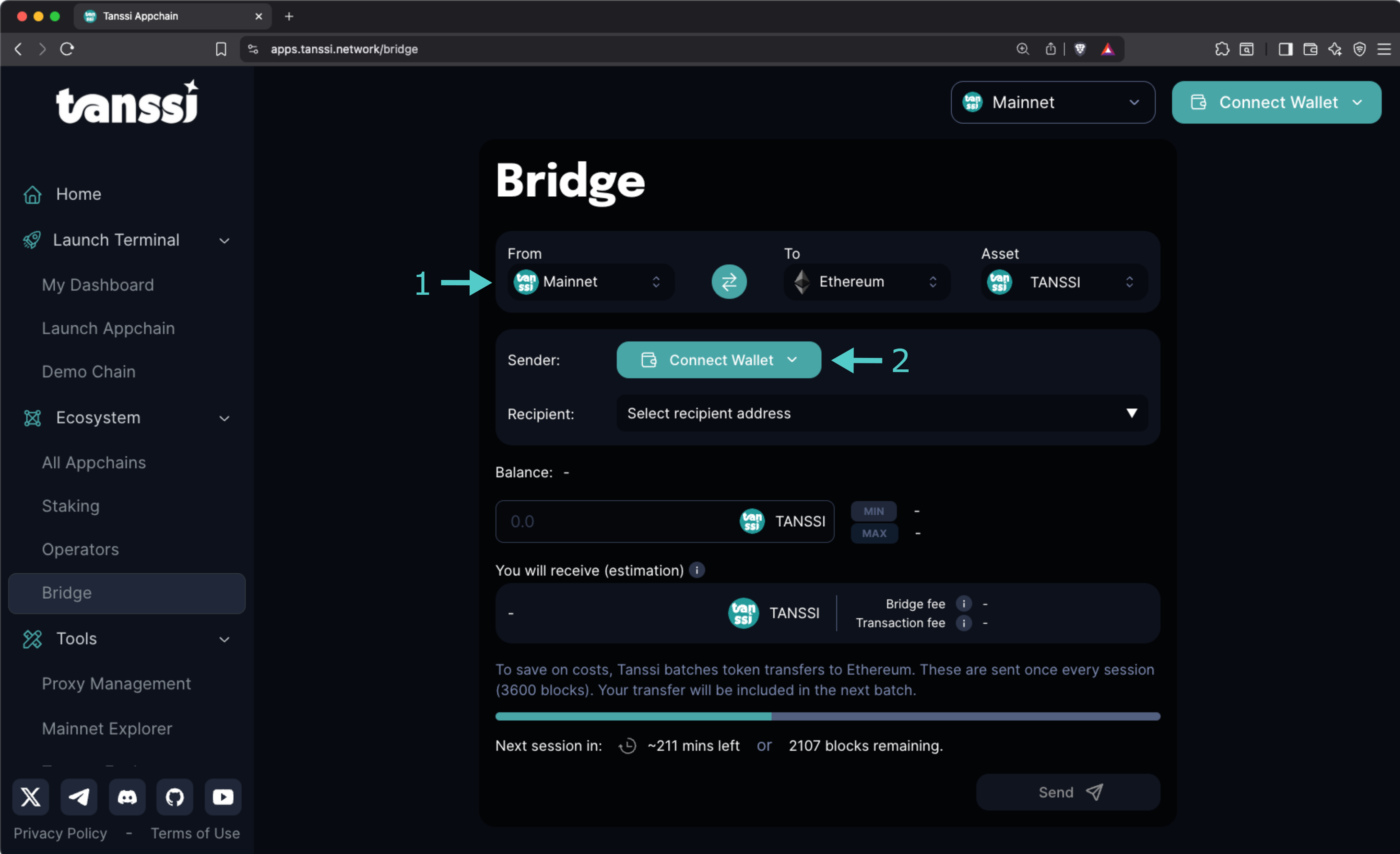 Select Tanssi Network and Connect the Wallet