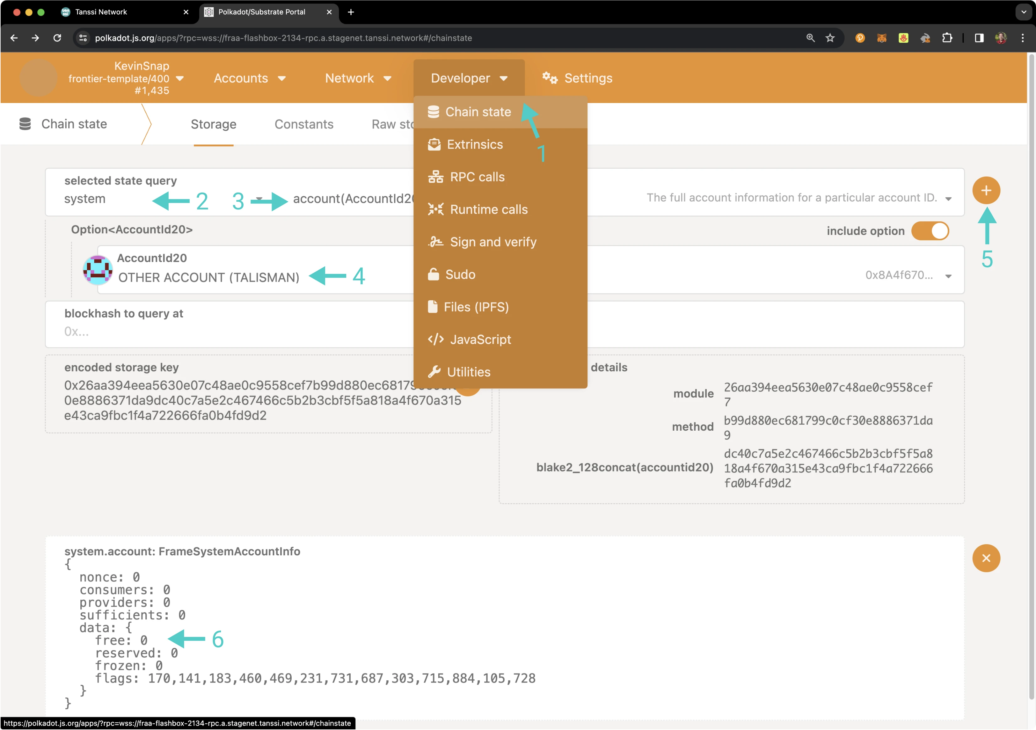 Check balances on Polkadot.js Apps