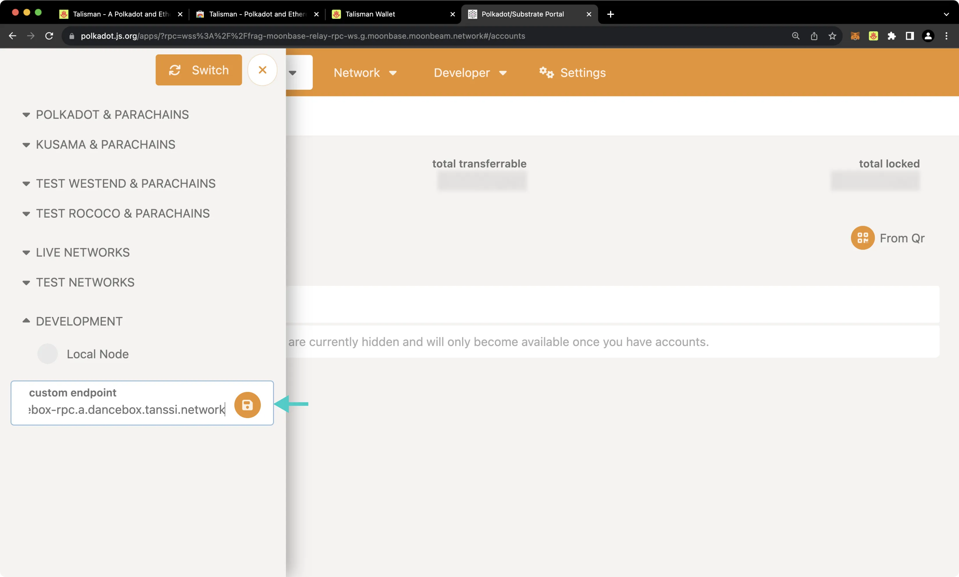 Connect to Polkadot.js Apps